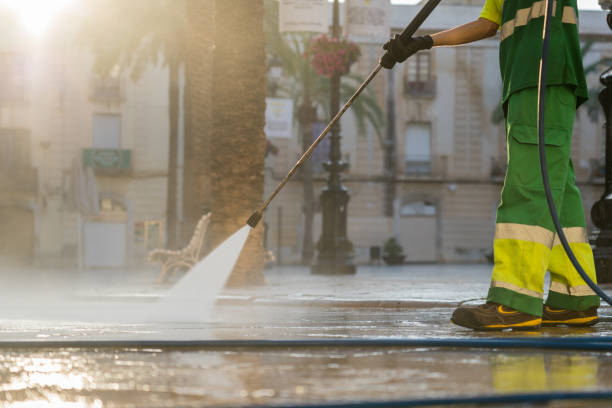 Best Affordable Power Washing  in Mount Olive, NC