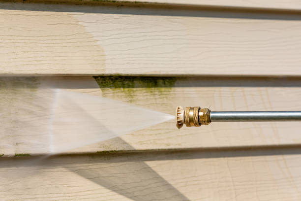 Best Pressure Washing Near Me  in Mount Olive, NC