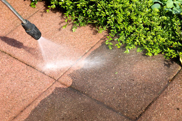 Best Fence Pressure Washing  in Mount Olive, NC